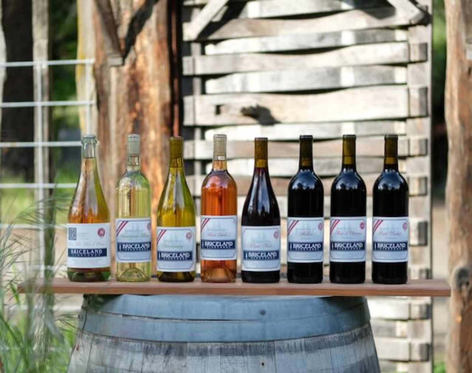 Briceland Vineyards Ranch - Garberville, California - glamping.directory