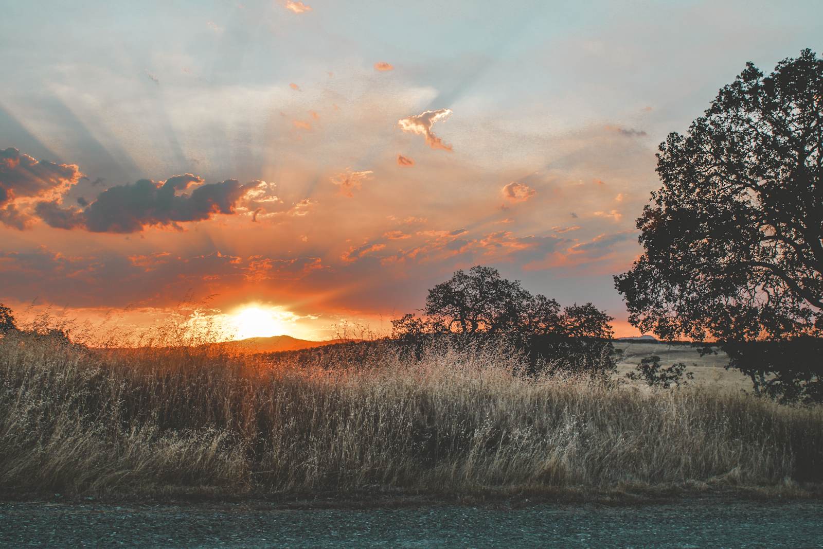Camp Joy Don Pedro - glamping.directory