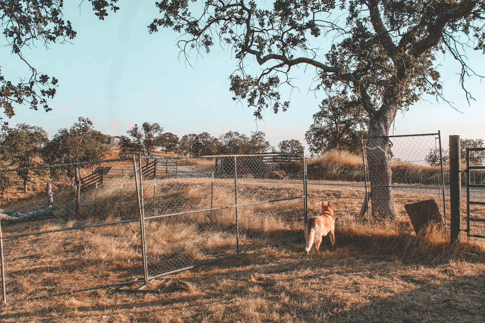 Camp Joy Don Pedro - Lake Don Pedro, California - glamping.directory