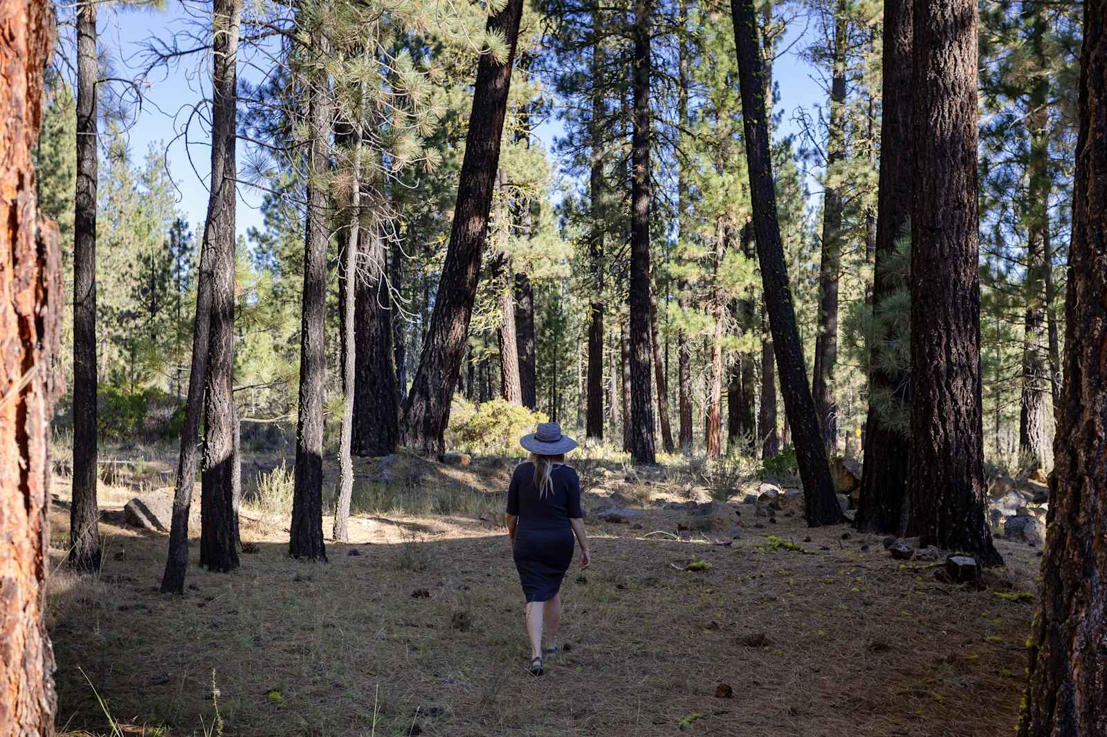 Lassen Glampsite (No Electricity) - Old Station, California - glamping.directory