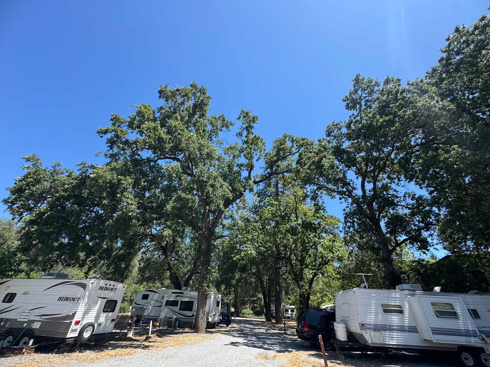 Wonderland RV And Camping - Redding, California - glamping.directory