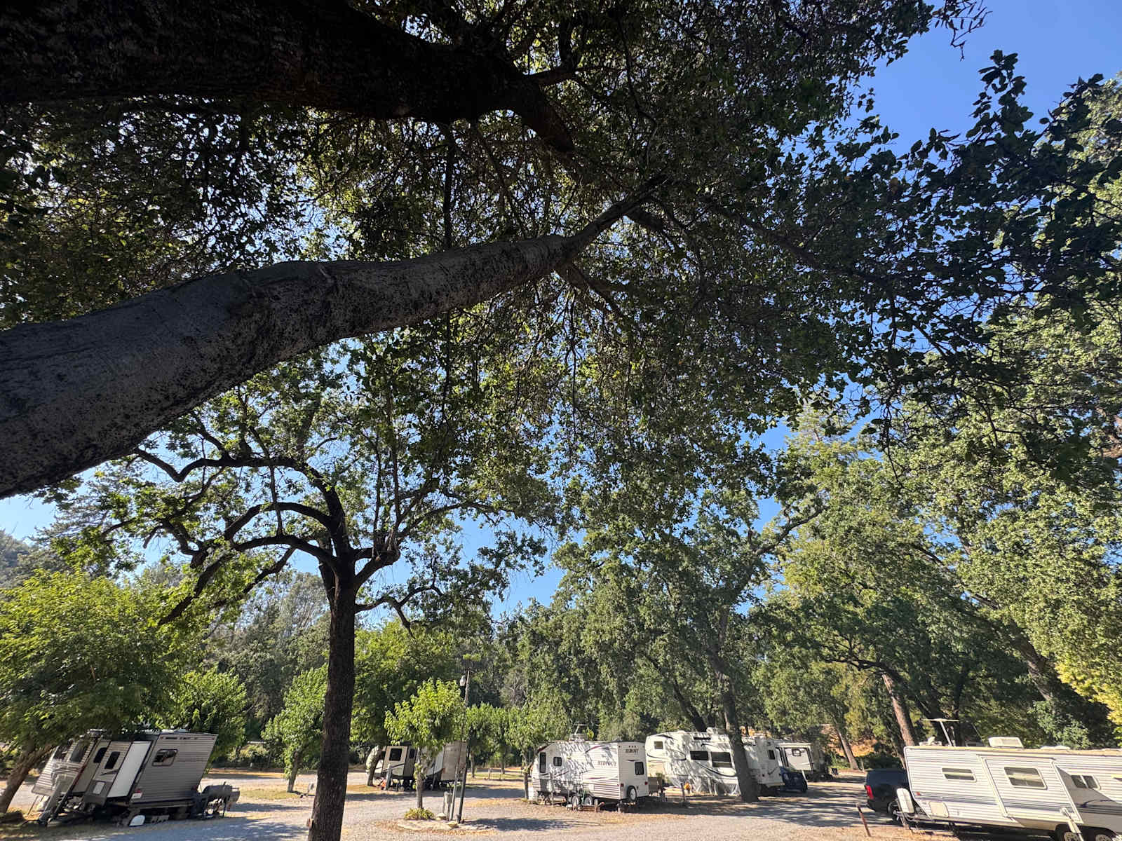 Wonderland RV And Camping - Redding, California - glamping.directory