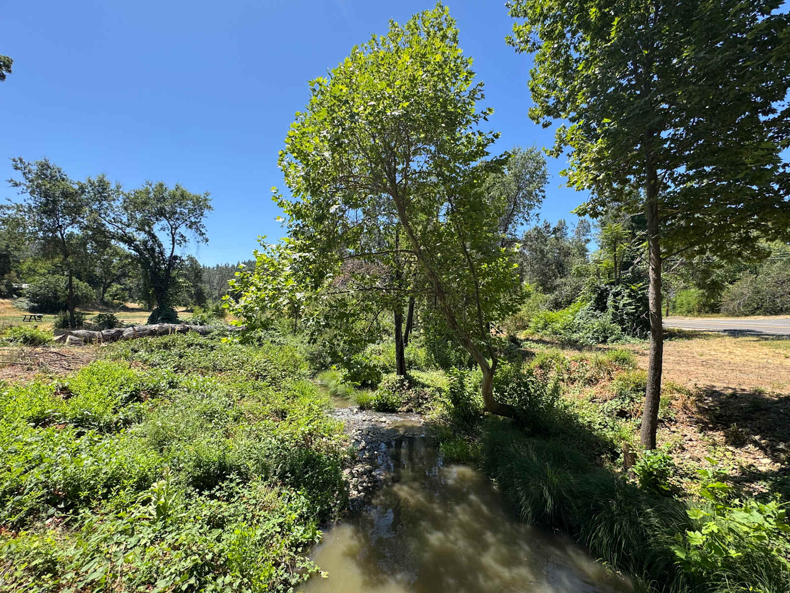 Wonderland RV And Camping - Redding, California - glamping.directory