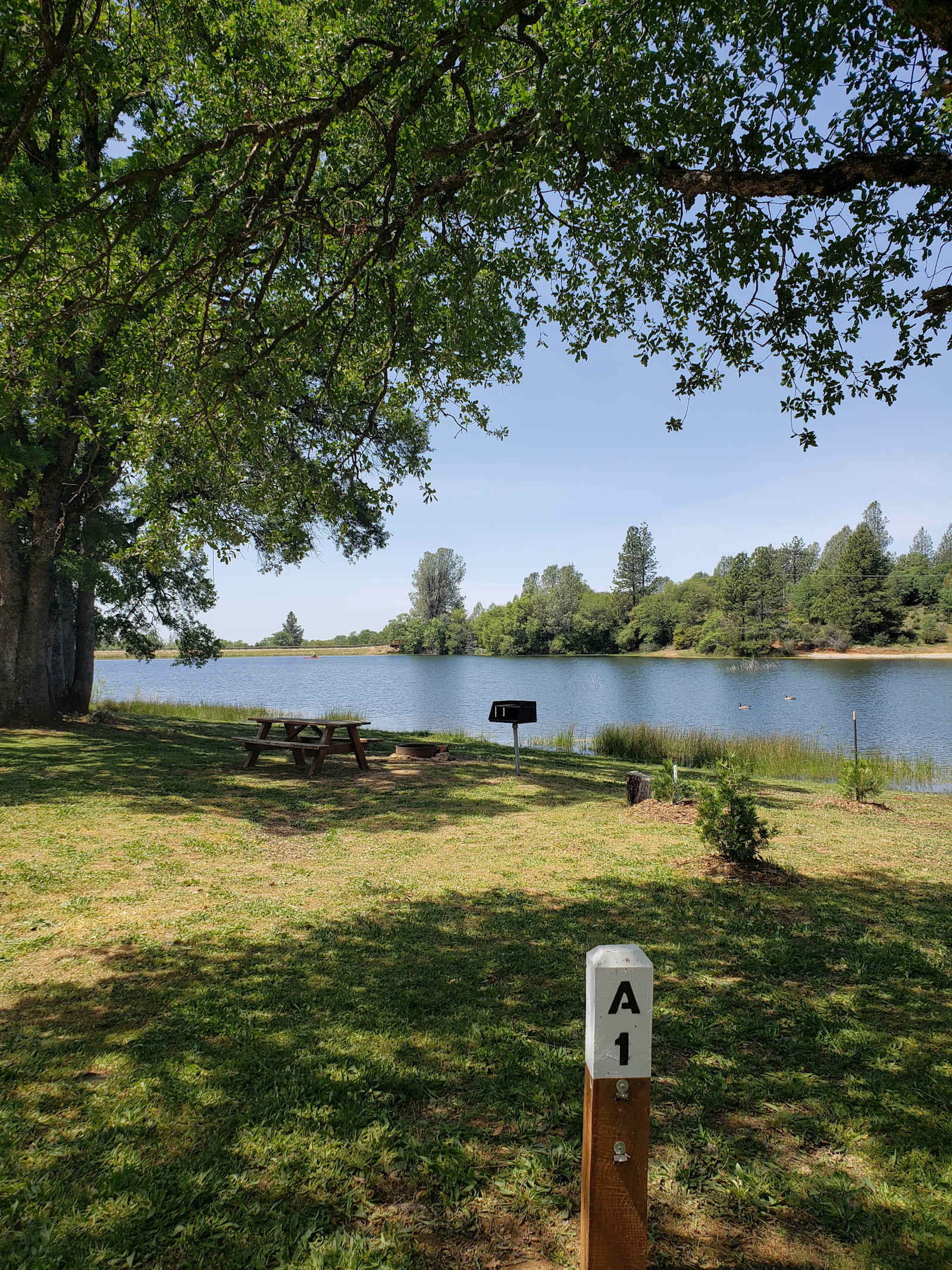 Finnon Lake Recreation Area - Placerville, California - glamping.directory