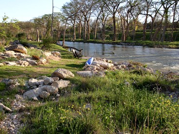 Excellent Riverfront Family Cabin Rental with Hot Tub in Wimberley, Texas - Wimberley, Texas - glamping.directory