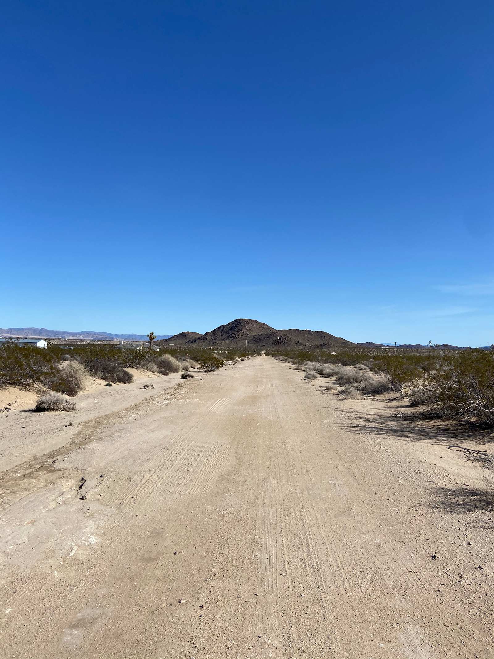 Milky Way Stay - Joshua Tree, California - glamping.directory