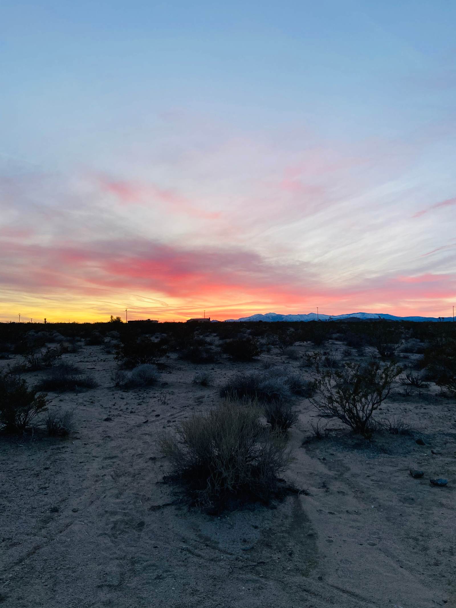 Milky Way Stay - Joshua Tree, California - glamping.directory