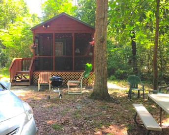 Cozy Cabin Rental on the Santa Fe River near High Springs, Florida - Fort White, Florida - glamping.directory