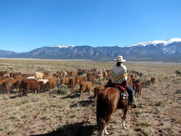 Historic Ranch on 103,000 Stunning Acres of Wildlife, Colorado - Mosca, Colorado - glamping.directory