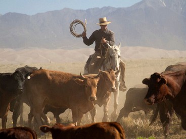 Historic Ranch on 103,000 Stunning Acres of Wildlife, Colorado - Mosca, Colorado - glamping.directory