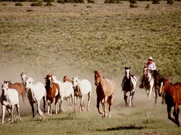 Historic Ranch on 103,000 Stunning Acres of Wildlife, Colorado - Mosca, Colorado - glamping.directory