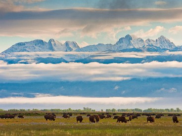 Historic Ranch on 103,000 Stunning Acres of Wildlife, Colorado - Mosca, Colorado - glamping.directory