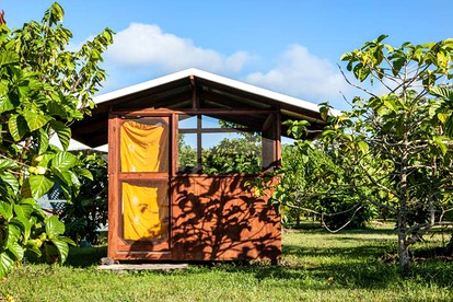 Camping Cabin Rental for a Yoga Nature Retreat near Mauna Loa, Hawaii - glamping.directory