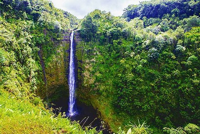 Camping Cabin Rental for a Yoga Nature Retreat near Mauna Loa, Hawaii - Pahoa, Hawaii - glamping.directory