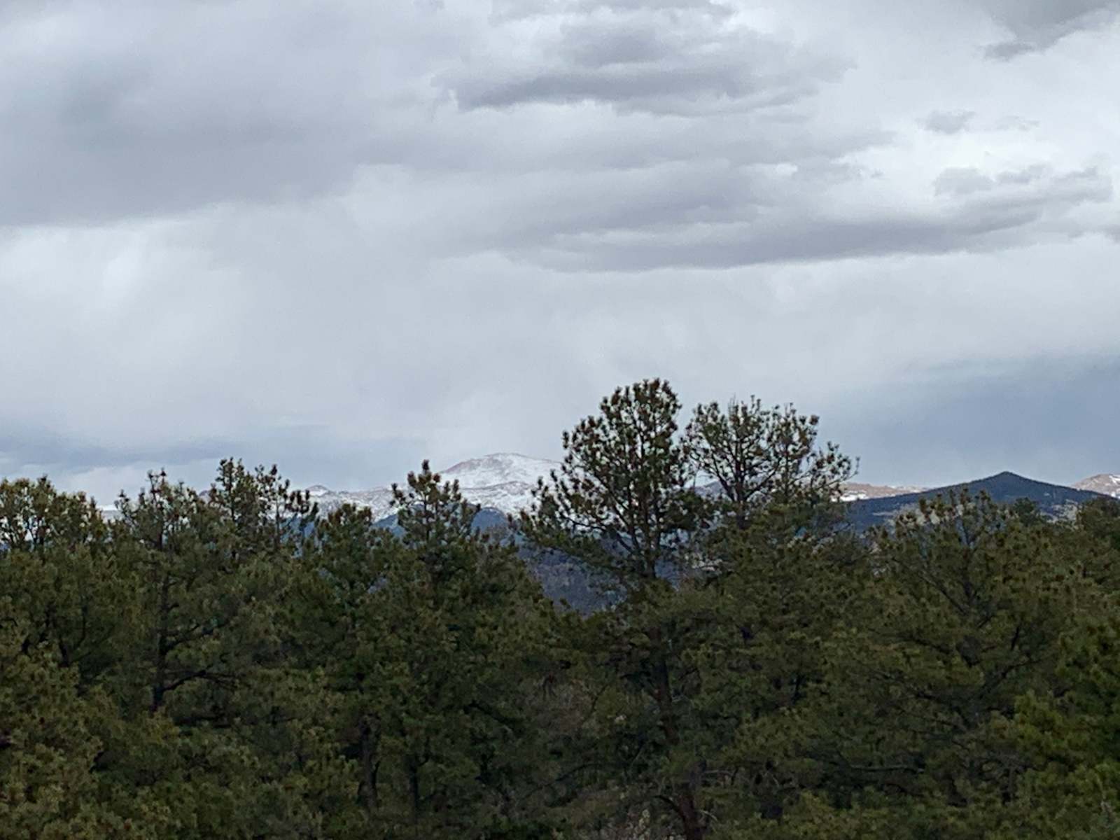 H Acres Wall Tent on 20 acres - Florissant, Colorado - glamping.directory