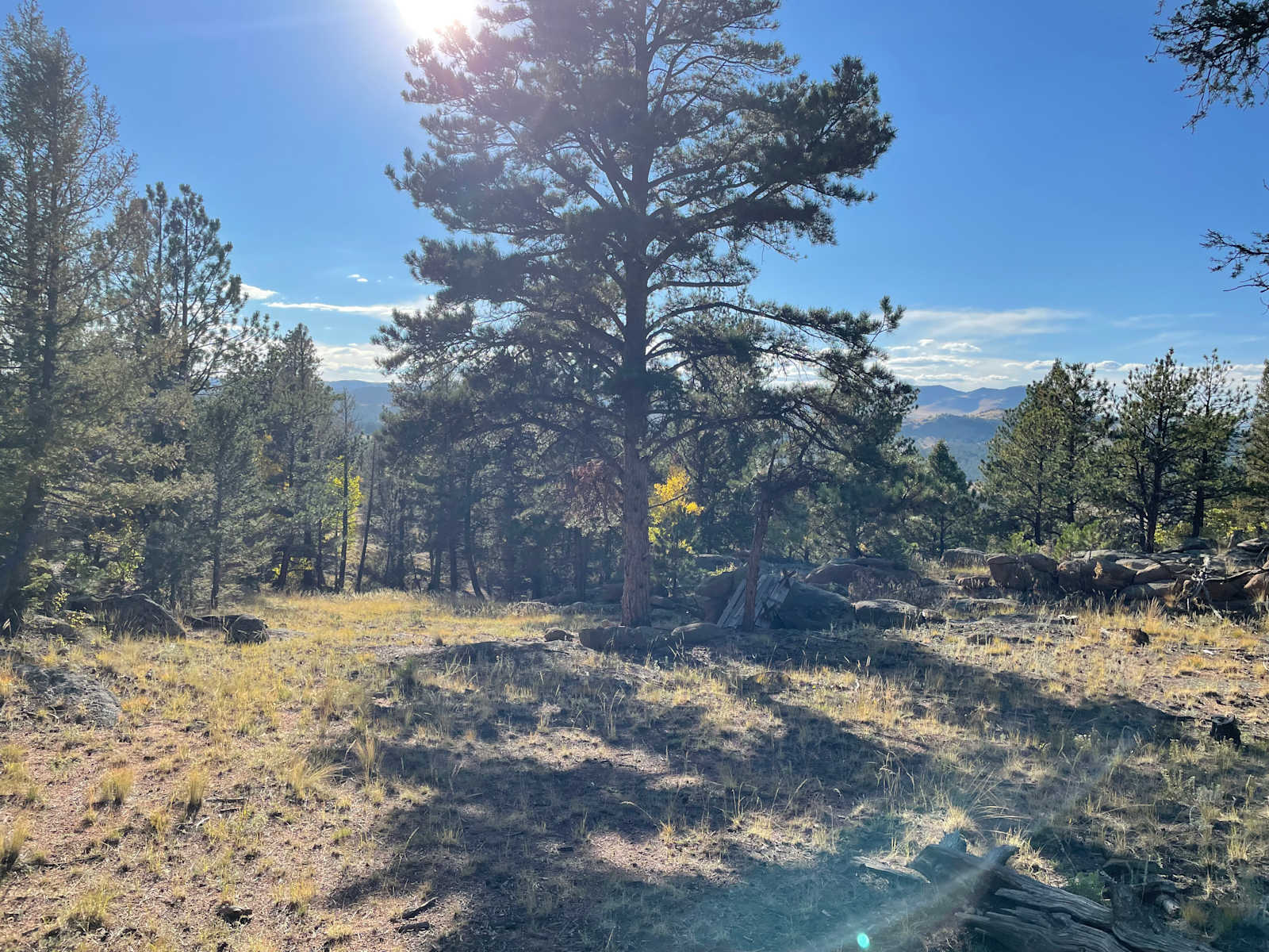 H Acres Wall Tent on 20 acres - Florissant, Colorado - glamping.directory