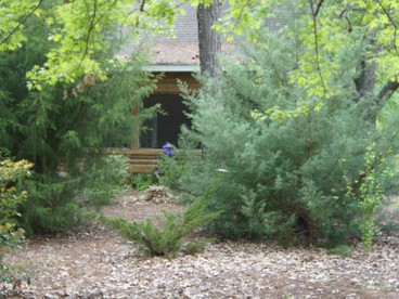 Delightful Vacation Cabin for Unique Getaway near Macon, Georgia - Tifton, Georgia - glamping.directory