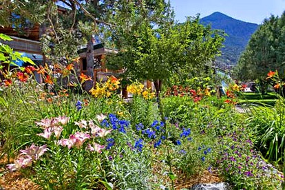 Quiet Studio-Style Accommodation near San Luis Valley in Crestone, Colorado - Crestone, Colorado - glamping.directory