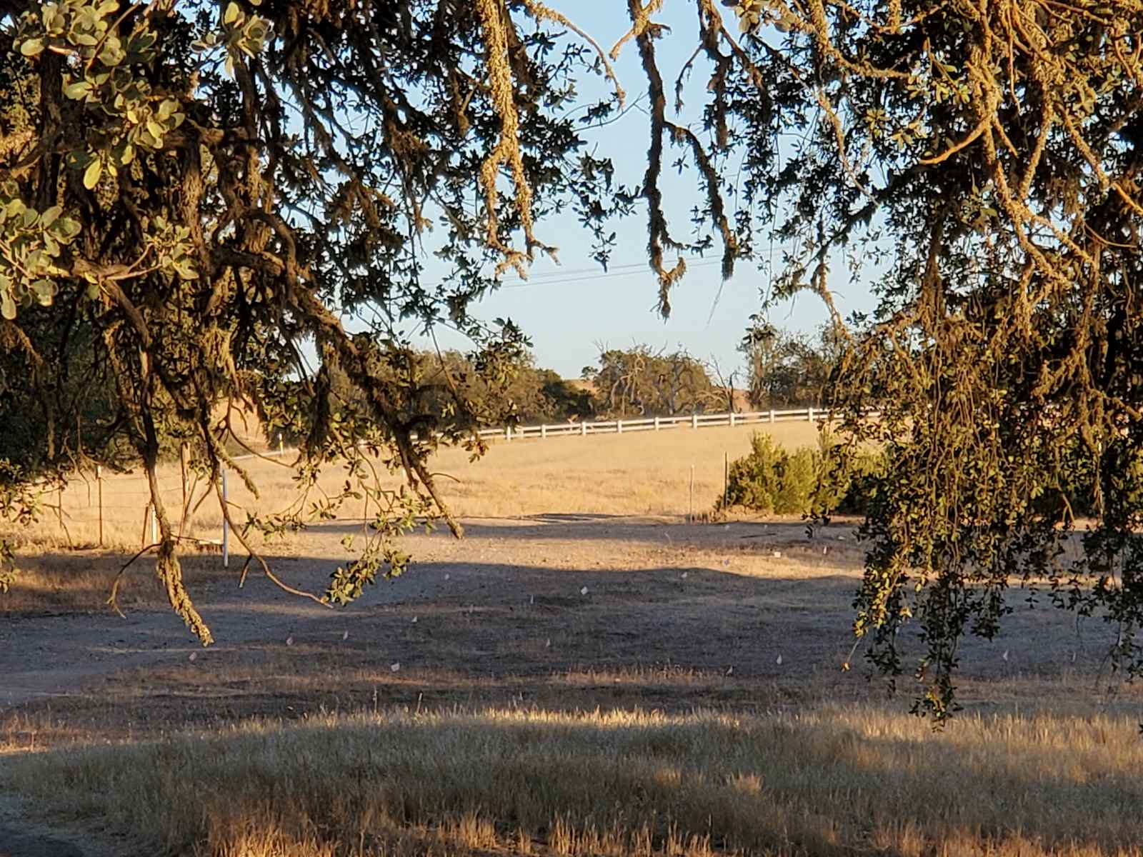 Broken Branch Creek - Paso Robles, California - glamping.directory
