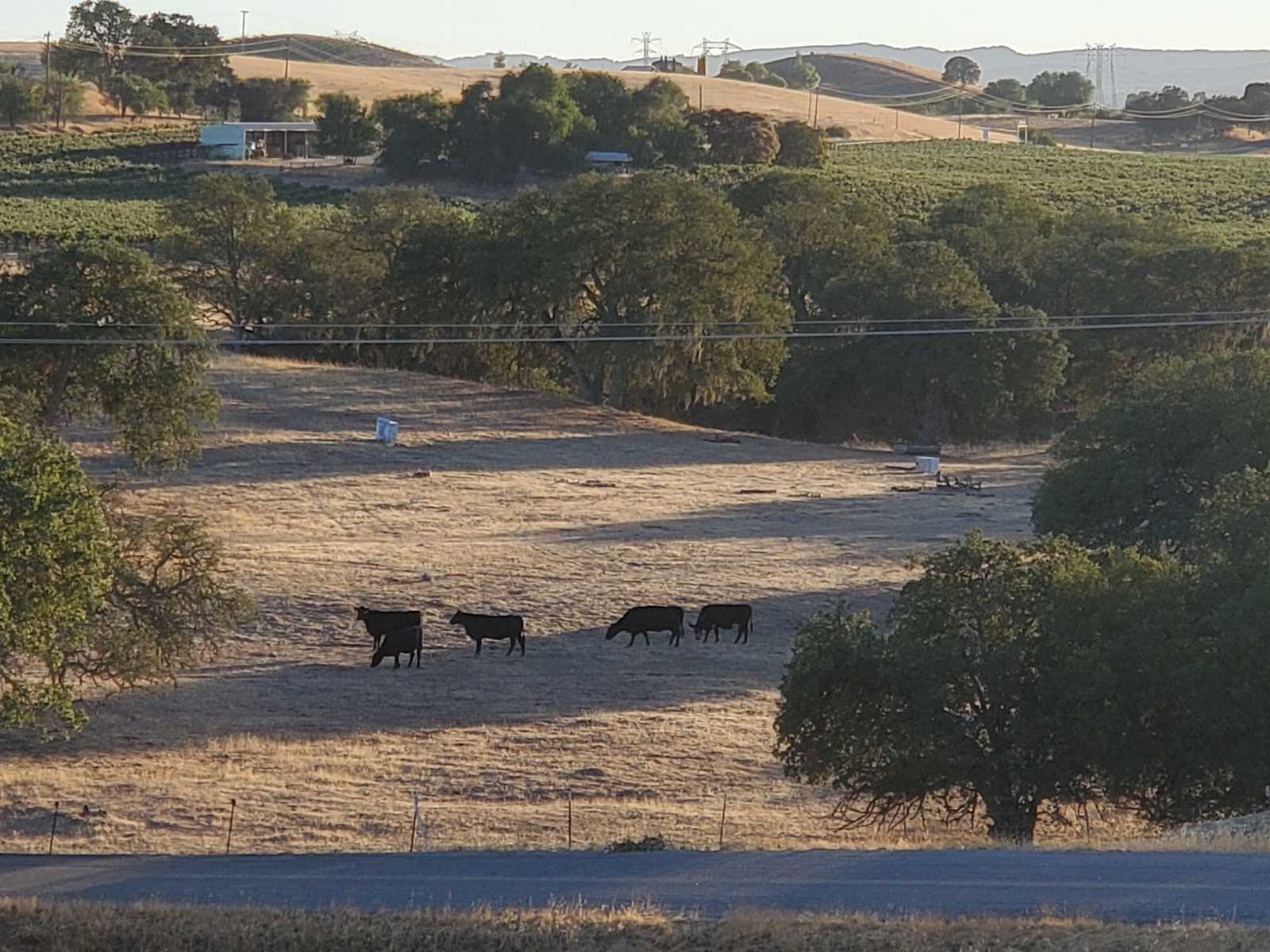 Broken Branch Creek - Paso Robles, California - glamping.directory