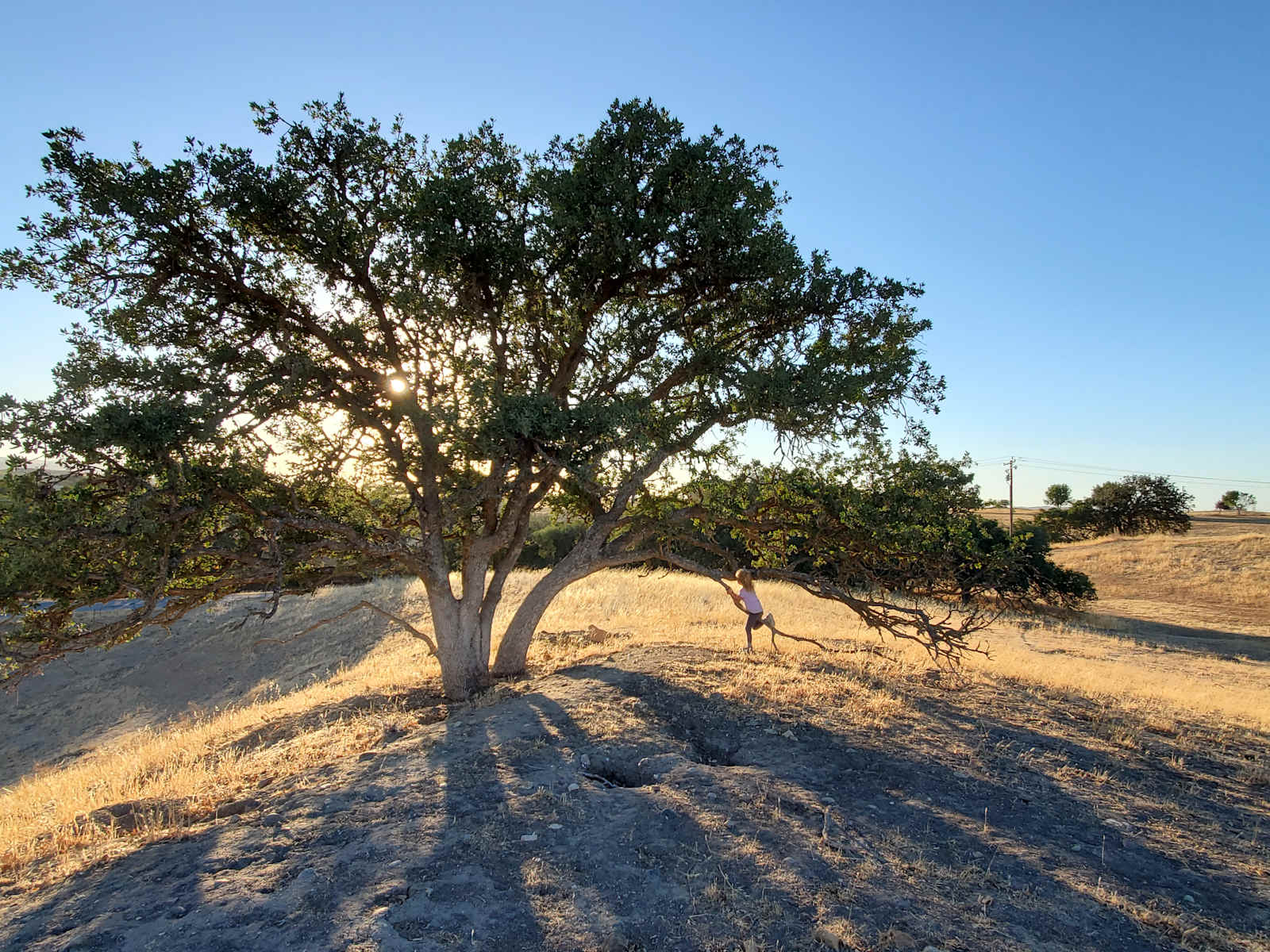 Broken Branch Creek - Paso Robles, California - glamping.directory