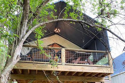 #3 Waterfront Cabin - Cibolo, TX - Cibolo, Texas - glamping.directory