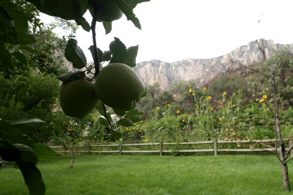 Orchard-Encircled Cabins with Breakfast and Dinner Included, Arizona - Sedona, Arizona - glamping.directory