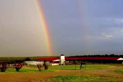 Pet-Friendly Rental with Wi-Fi near Brenham, Texas - McDade, Texas - glamping.directory