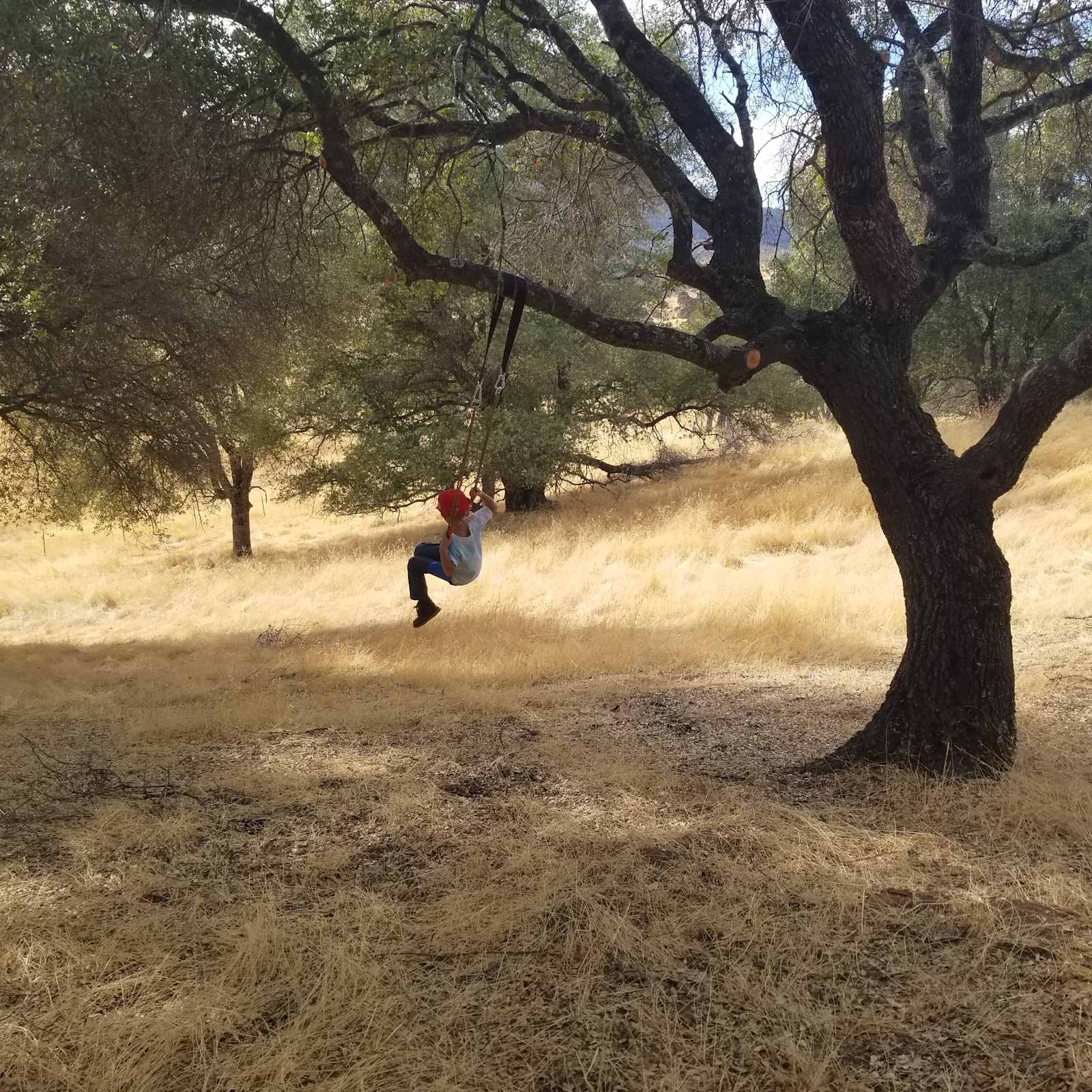 Angels Hideaway - Angels Camp, California - glamping.directory