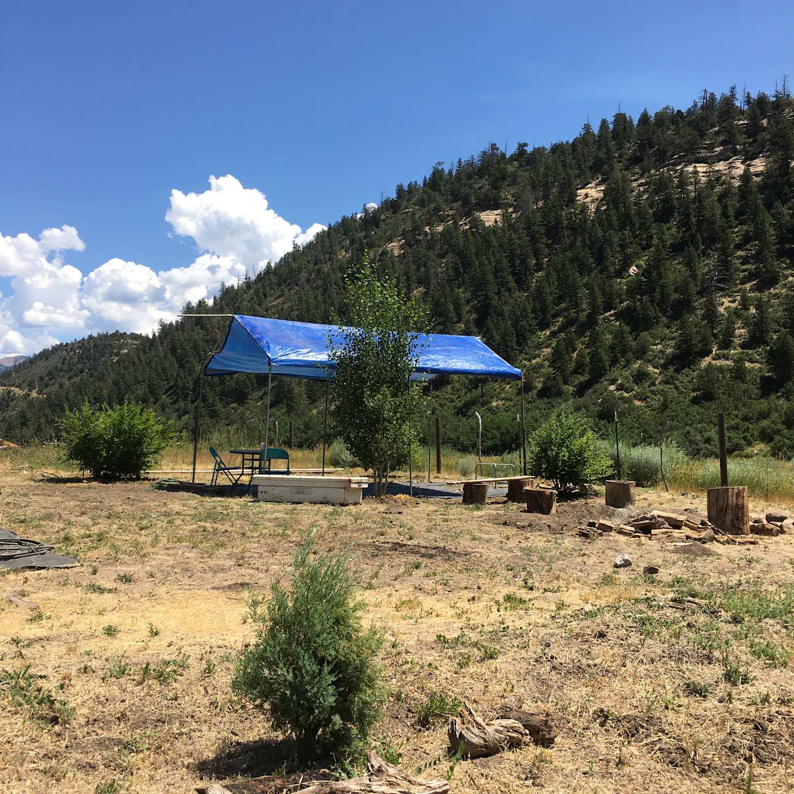 E-Z Access Camping - glamping.directory