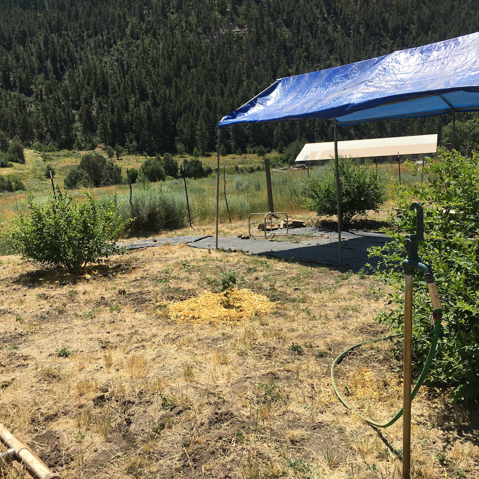E-Z Access Camping - Mancos, Colorado - glamping.directory