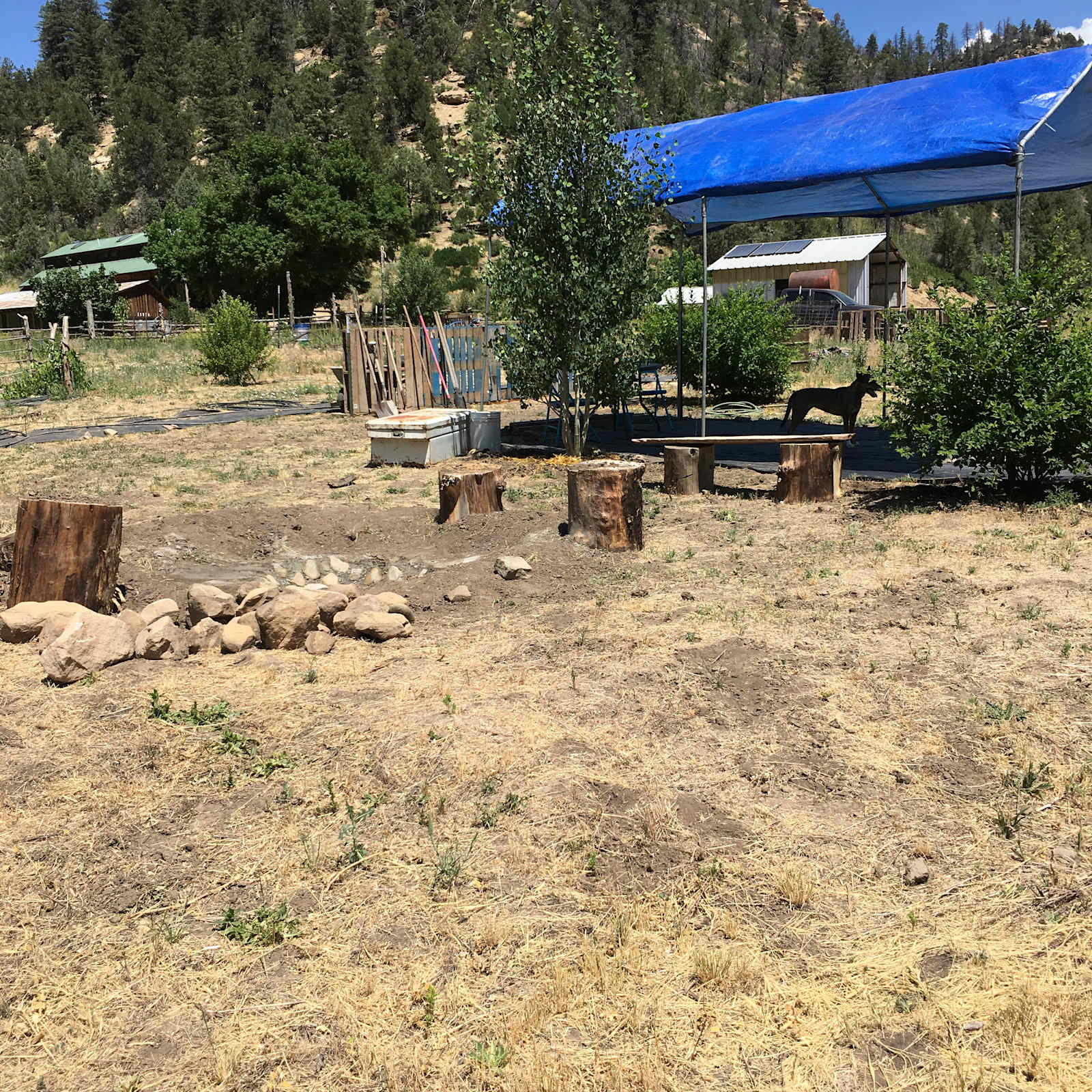 E-Z Access Camping - Mancos, Colorado - glamping.directory