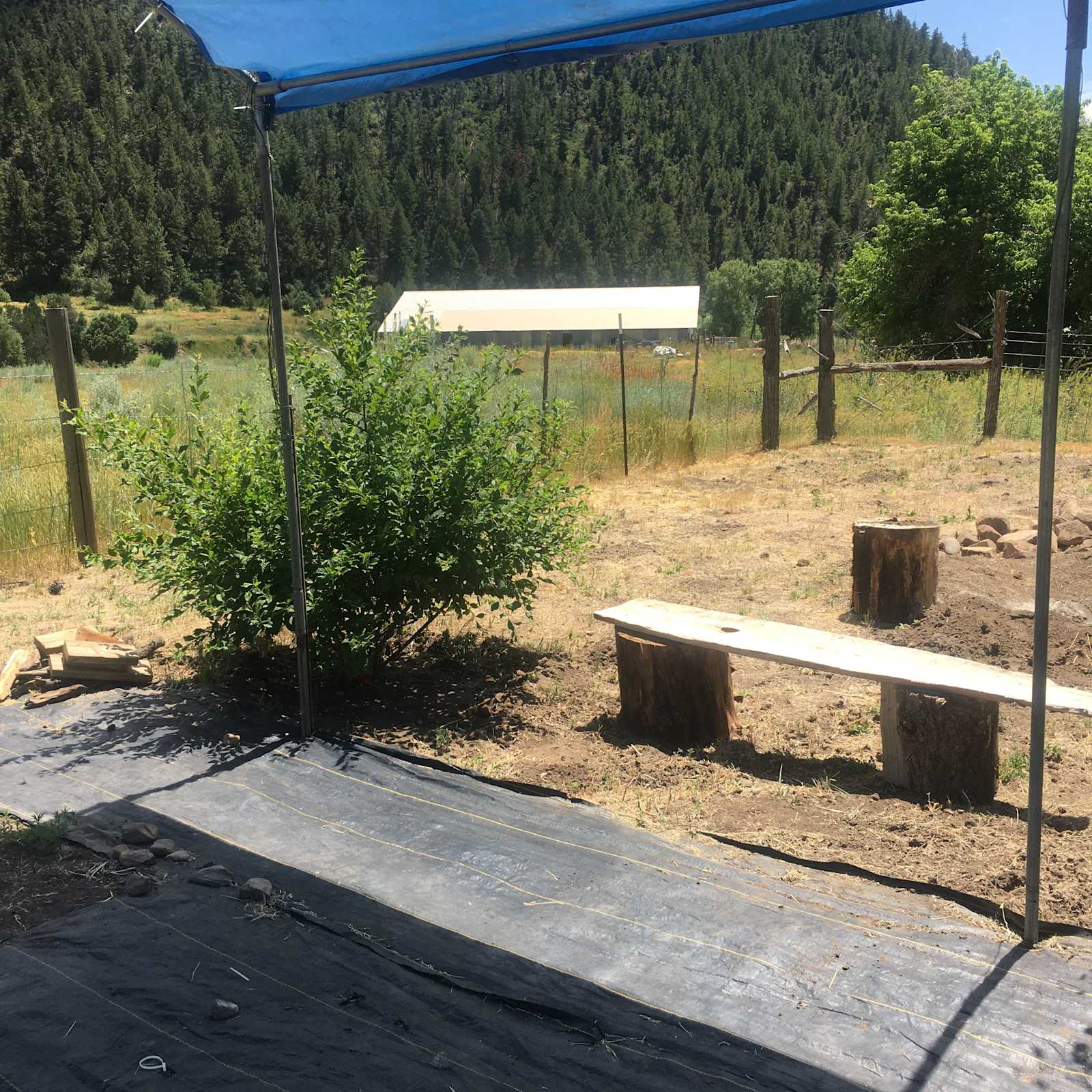 E-Z Access Camping - Mancos, Colorado - glamping.directory