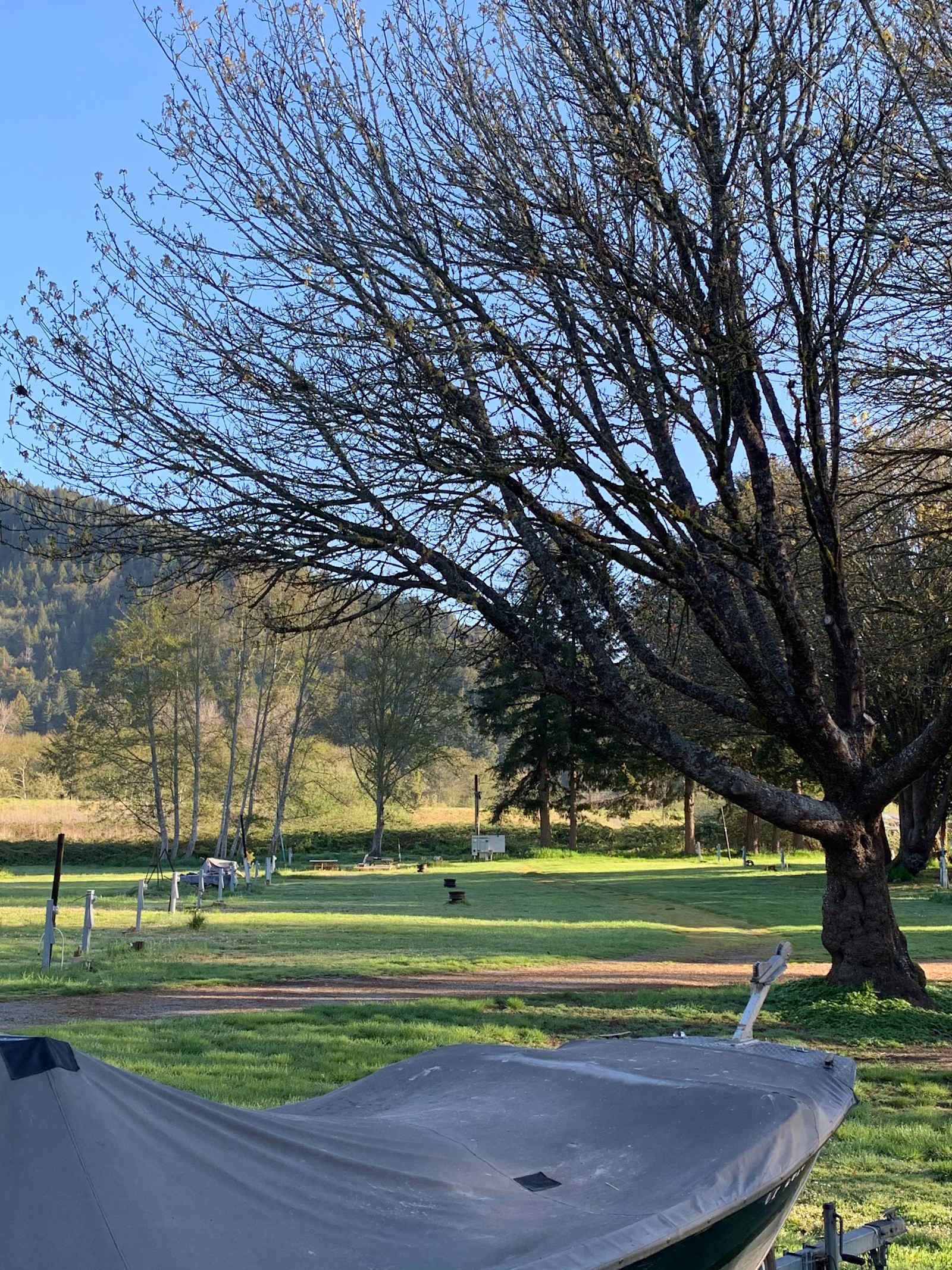 Terwer RV Park - Klamath, California - glamping.directory