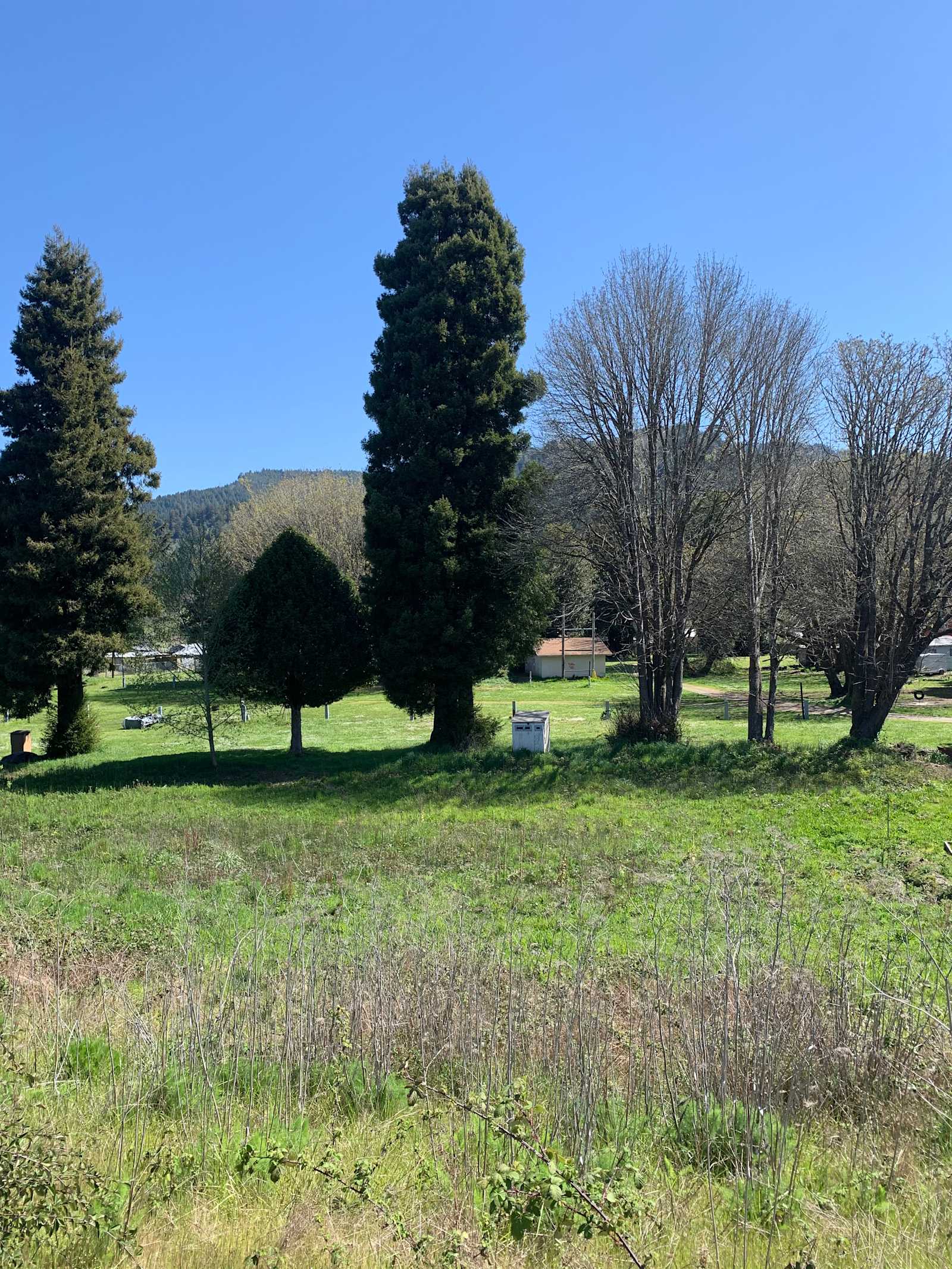 Terwer RV Park - Klamath, California - glamping.directory