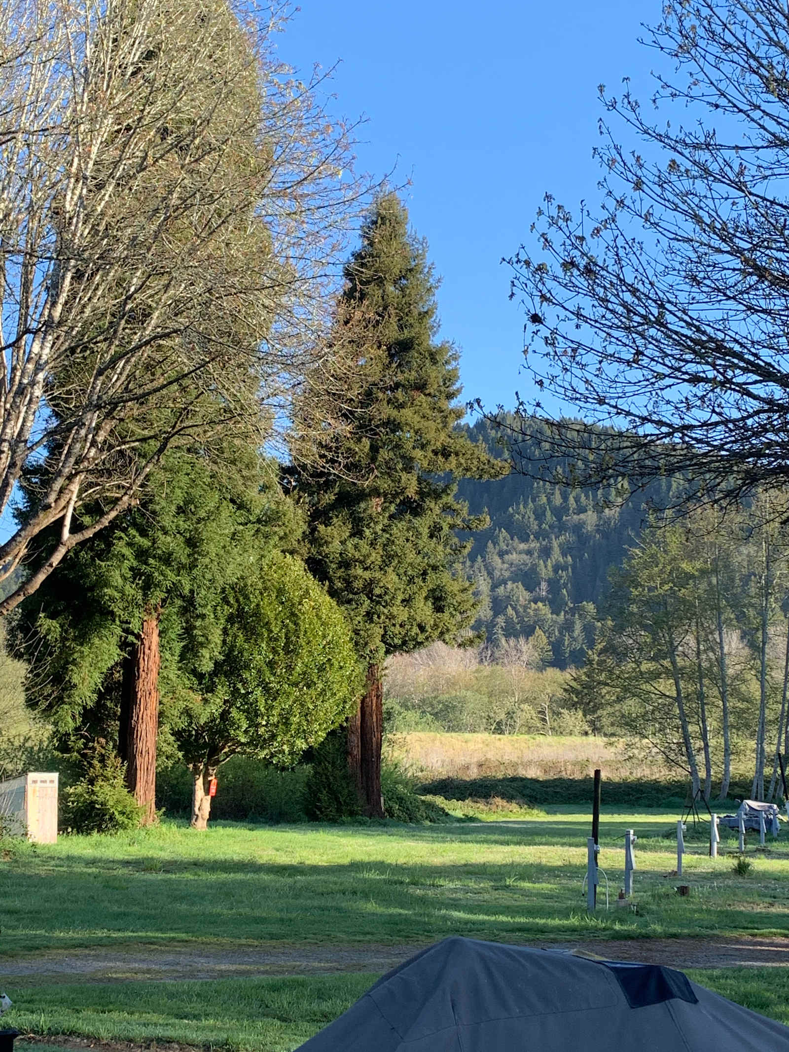 Terwer RV Park - Klamath, California - glamping.directory