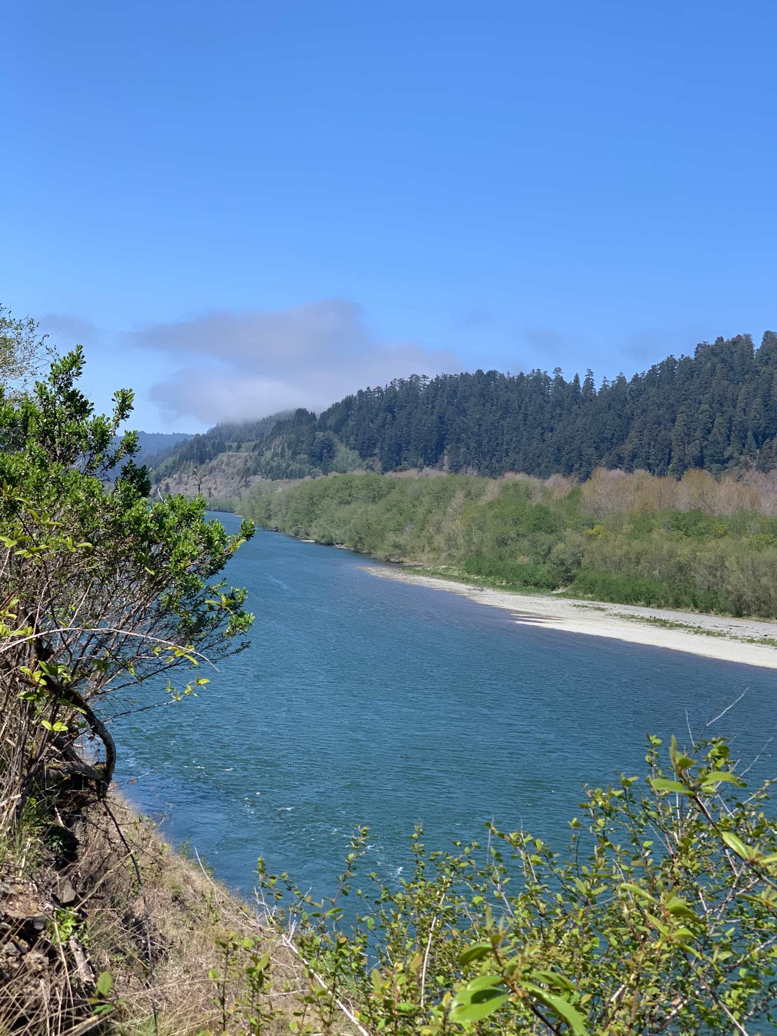 Terwer RV Park - Klamath, California - glamping.directory
