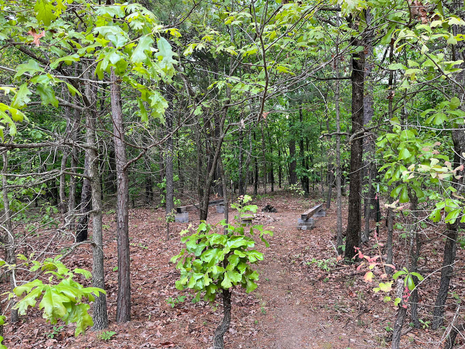 Lake Frances Campsites - Siloam Springs, Arkansas - glamping.directory