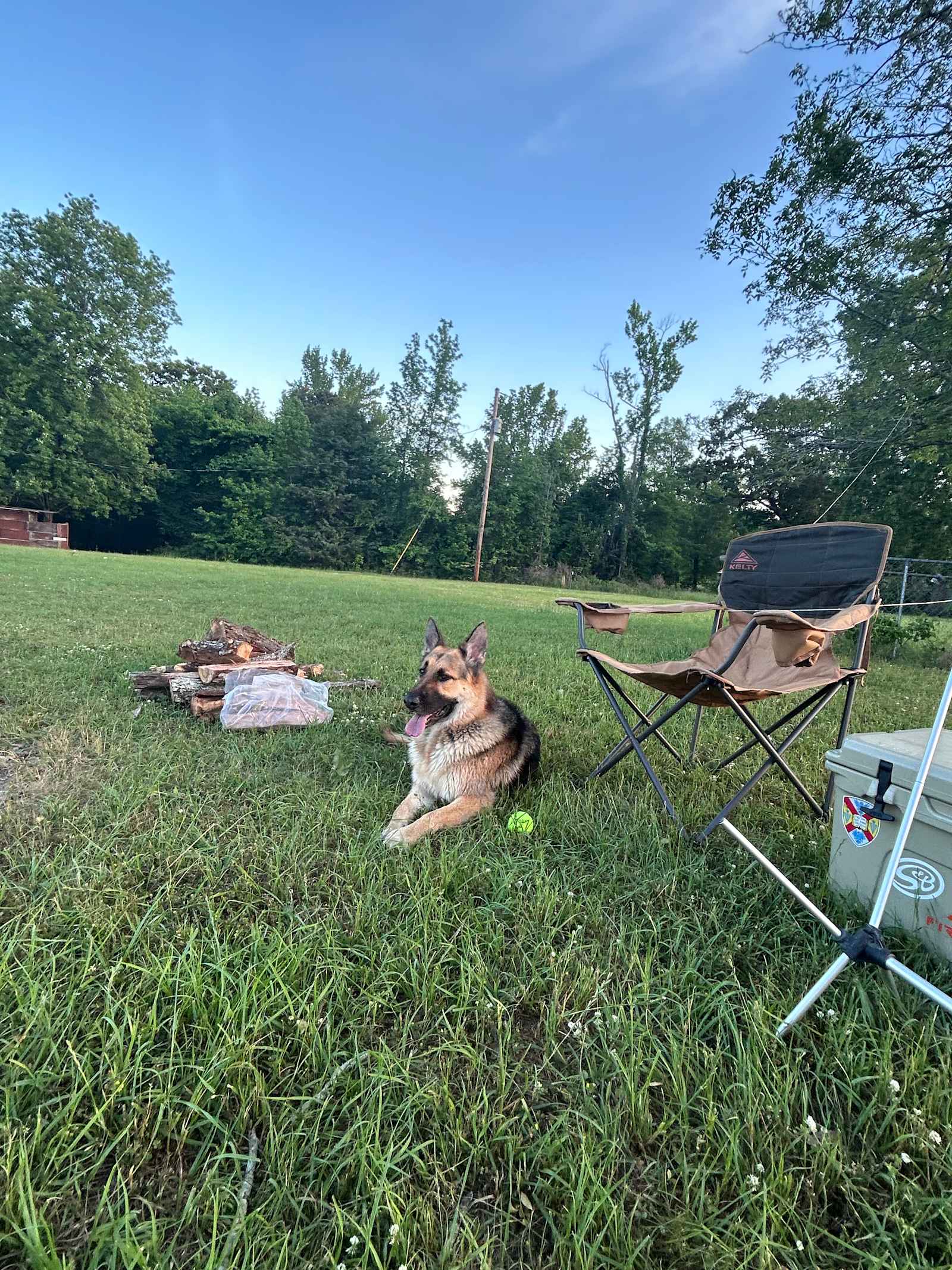 Gullatte Acres - Smiths Station, Alabama - glamping.directory
