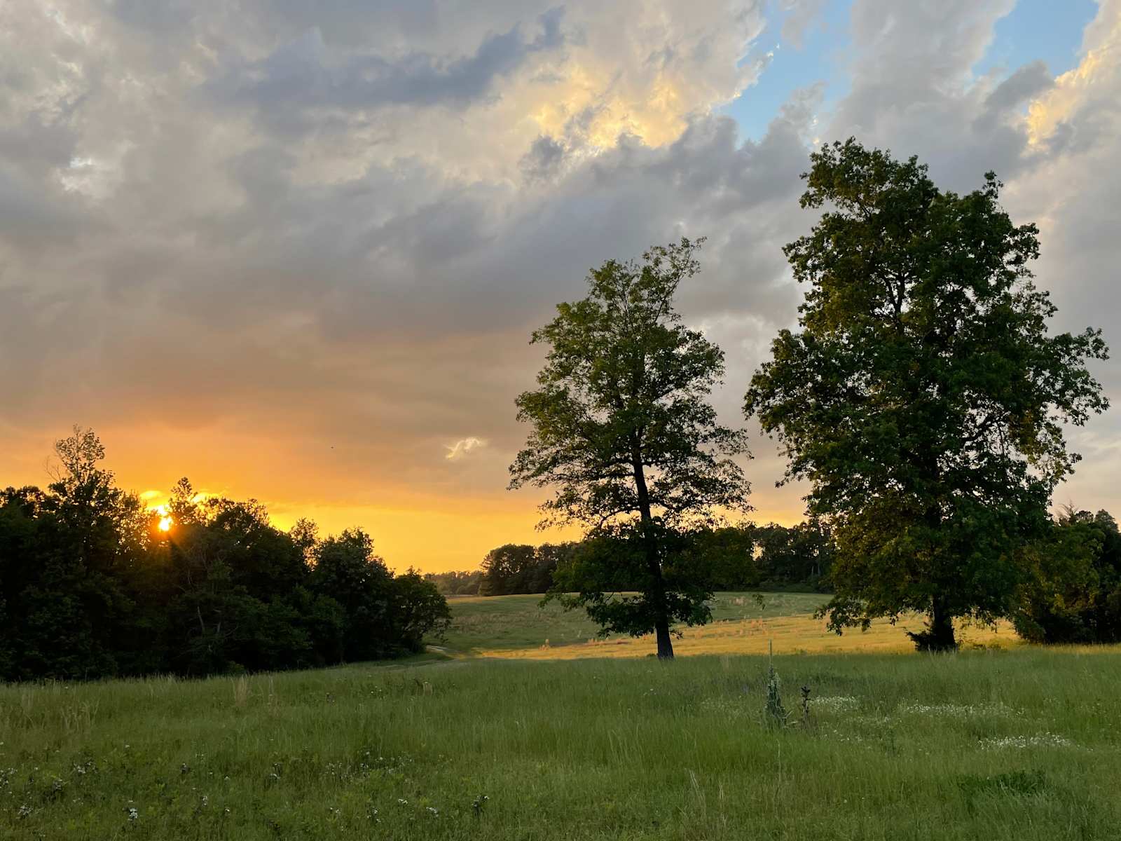 Gullatte Acres - Smiths Station, Alabama - glamping.directory
