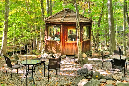 Fabulous Tiny House Surrounded by Forest in Norwich, Connecticut - glamping.directory