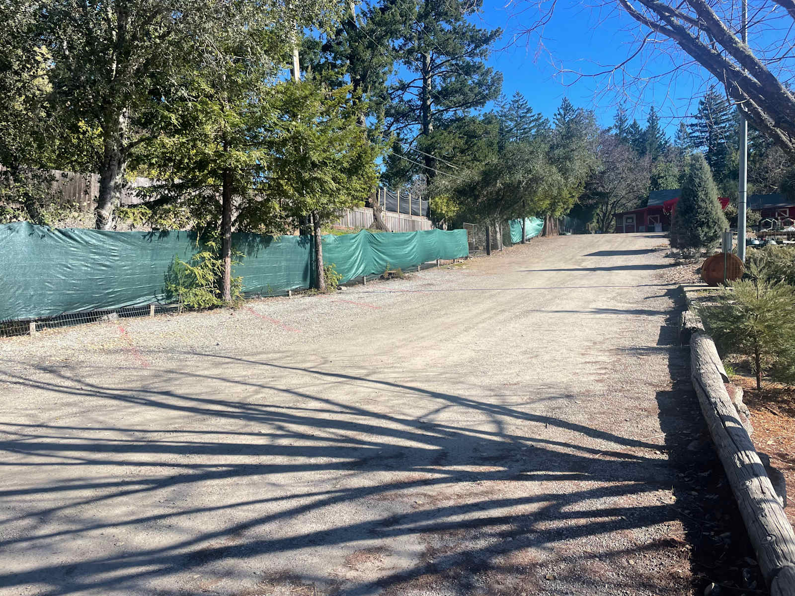 Patchen Christmas Tree Farm - glamping.directory