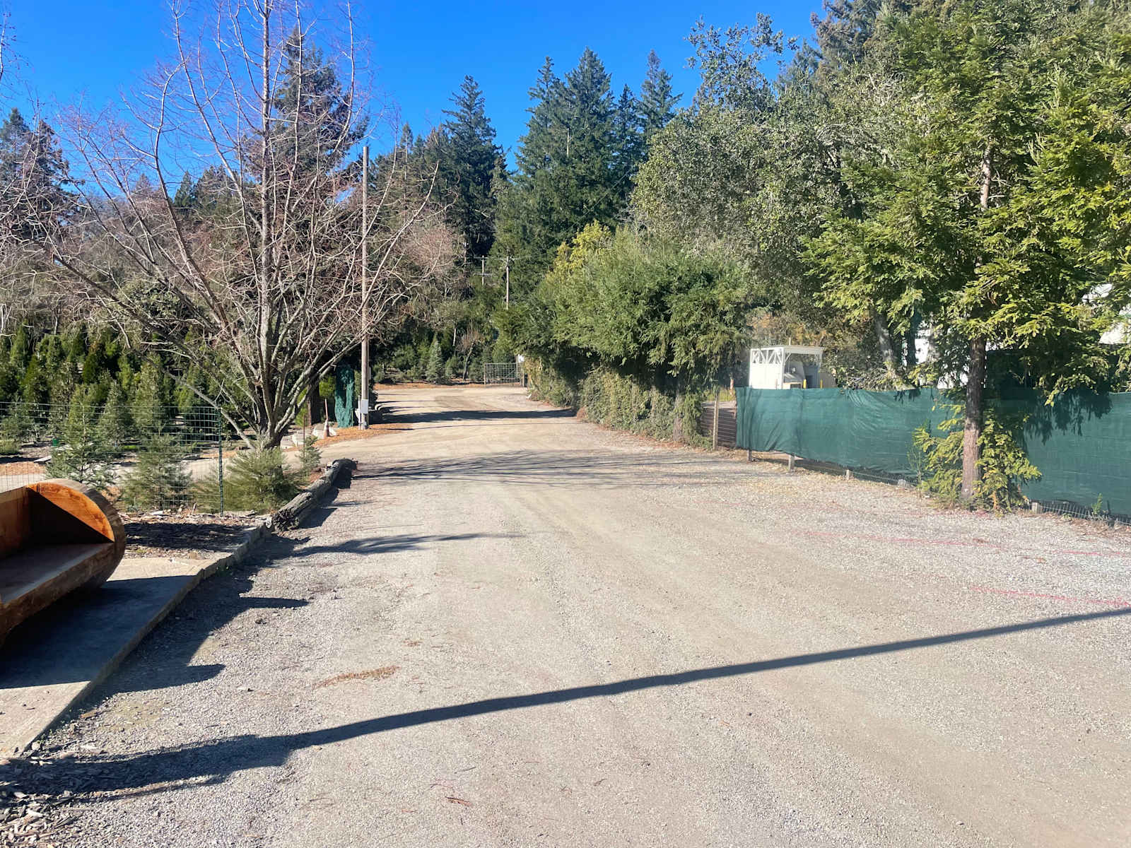 Patchen Christmas Tree Farm - Los Gatos, California - glamping.directory