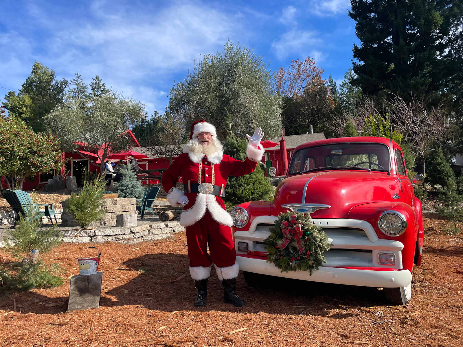 Patchen Christmas Tree Farm - Los Gatos, California - glamping.directory