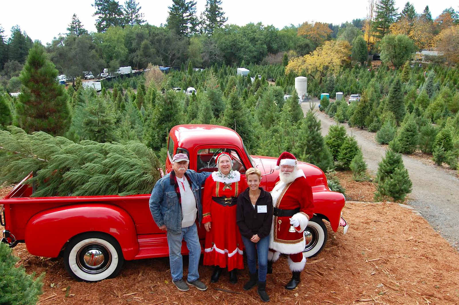 Patchen Christmas Tree Farm - Los Gatos, California - glamping.directory