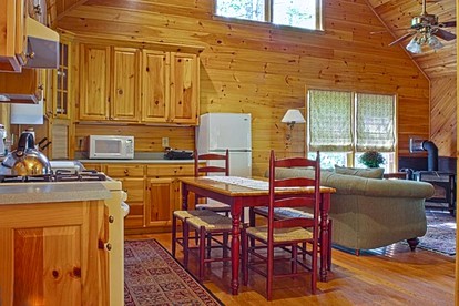 Secluded Wheelchair-Accessible Getaway near Blue Ridge, Georgia - Mineral Bluff, Georgia - glamping.directory