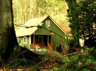 Secluded Cabin Rental near Mount Rainier National Park in Washington - Ashford, Washington - glamping.directory