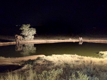Secluded Luxury Glamping Camp with Safari-Style Dining near South Rim Grand Canyon, Arizona - Monument Valley, Utah - glamping.directory