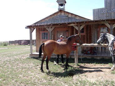 Rustic Cabin Rental for an Outdoor Getaway near the Great Sand Dunes in Colorado - Capulin, Colorado - glamping.directory