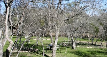 Creekside Cabin Rental for Quintessential Staycation near Austin, Texas - Buda, Texas - glamping.directory